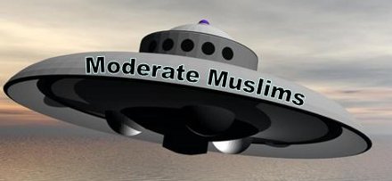 Moderate Muslims