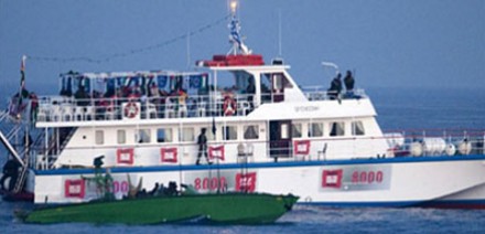 Flotilla II geplant