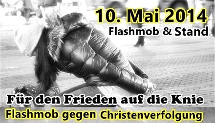 Flashmob2014 - Kopie