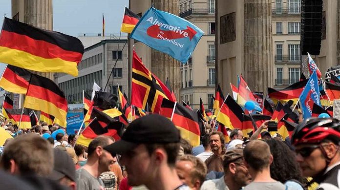 http://www.pi-news.net/wp-content/uploads/2019/09/afd_demo-696x389.jpg