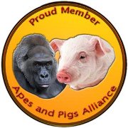 apes_and_pigs