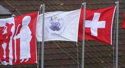 Schweiz: Türkische NPD darf Flagge hissen