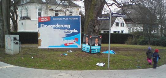 Plakat_AfD