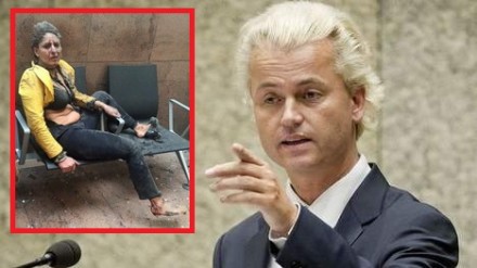 wilders_brx