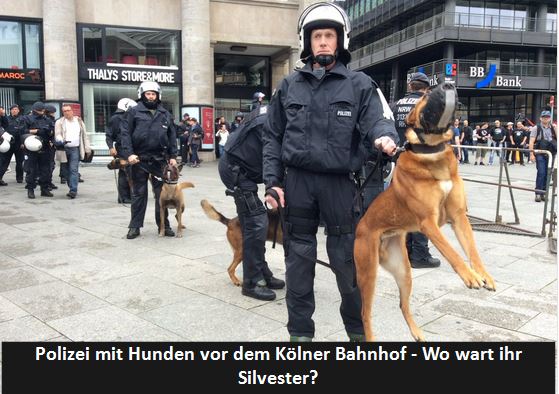 polizeihunde-vor-dem-bahnhof