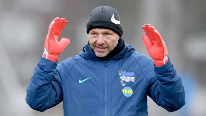 zsolt