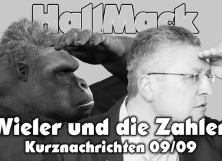 HallMack: Wieler und die Zahlen