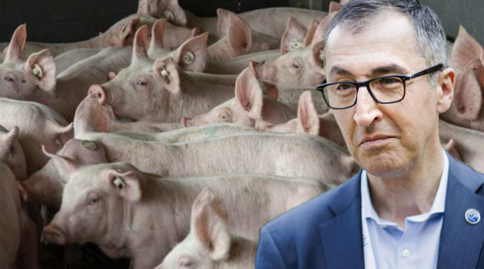 Die niedersächsische Landwirtschaftsministerin hat Cem Özdemir wegen der Schweinepest im Emsland einen Brandbrief geschrieben.