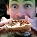Warum versucht die politische Korrektheit so hartnäckig, uns um jeden Preis an den Gedanken zu gewöhnen, Insekten zu essen, ein "Nahrungsmittel", das uns doch zurecht anwidert?