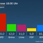 Die "Bürger in Wut" profitierten bei der Bürgerschaftswahl in Bremen vom Nicht-Antritt der AfD.