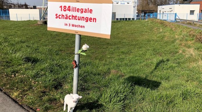 In diesem Schlachthof in Selm haben drei Moslems 184 Tiere in lediglich drei Wochen rituell geschächtet und den Vierbeinern unermessliche Qualen zugefügt.