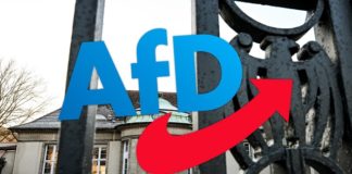 Die AfD soll sich geschlossen hinter die "Potsdamer Doktrin zur Remigration" stellen.