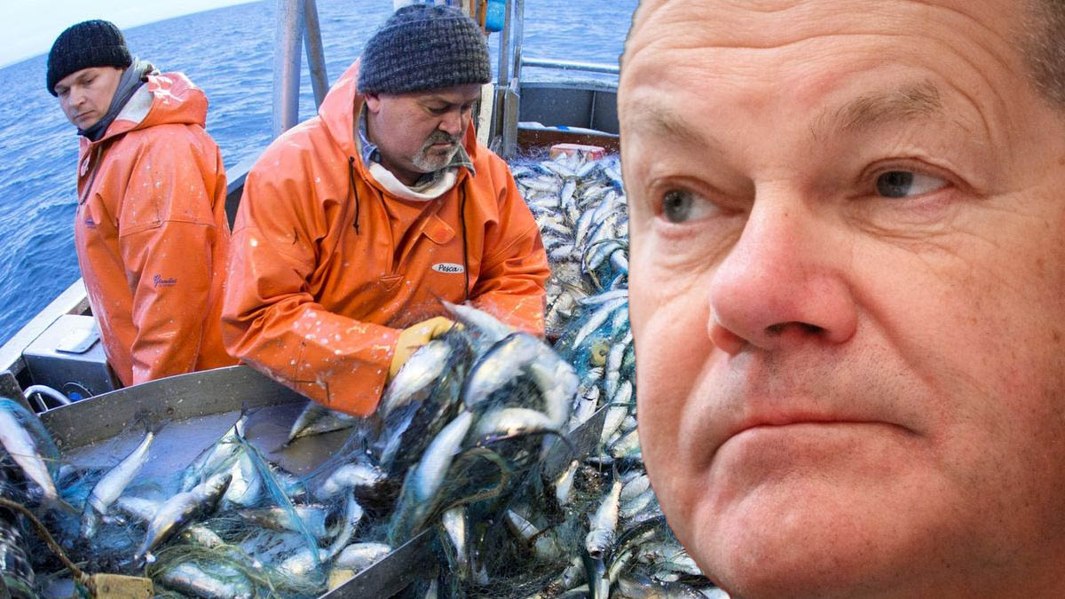 Deutsche Fischer werden zum Bauernopfer der Ampel-Regierung