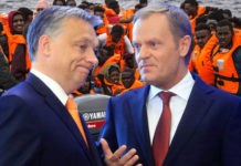 Auch wenn Viktor Orban und Donald Tusk in vielen Themen gegensätzlicher Meinung sind, sind sie sich umso einiger bei der Ablehnung der unkontrollierten Masseneinwanderung in ihre Länder.