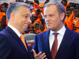 Auch wenn Viktor Orban und Donald Tusk in vielen Themen gegensätzlicher Meinung sind, sind sie sich umso einiger bei der Ablehnung der unkontrollierten Masseneinwanderung in ihre Länder.