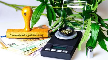 Wie bei jedem Gesetzesentwurf der Ampel hat man auch beim Gesetz zur Legalisierung von Cannabisprodukten ein unfertiges Stückwerk produziert, das allumfassend an der Realität scheitern wird.
