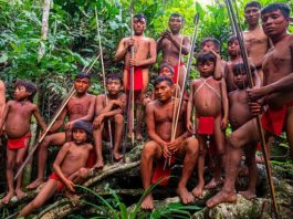 Als vor einigen Jahren fremde Goldsucher in das Land des Yanomami-Stammes in Brasilien eindrangen, war der Aufschrei unter Menschenrechtlern groß.