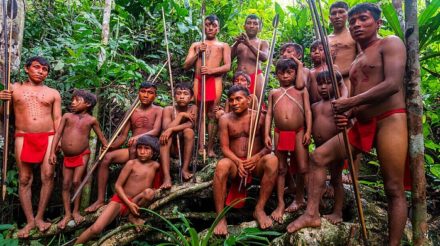 Als vor einigen Jahren fremde Goldsucher in das Land des Yanomami-Stammes in Brasilien eindrangen, war der Aufschrei unter Menschenrechtlern groß.