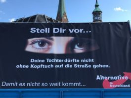 AfD-Wahlplakat in Schwerin.