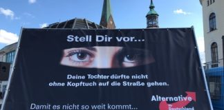 AfD-Wahlplakat in Schwerin.