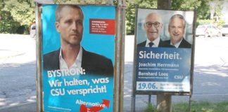 Intelligent platzierte Plakate von Bayerns AfD-Chef Bystron sorgen bei den Anhängern für Begeisterung.