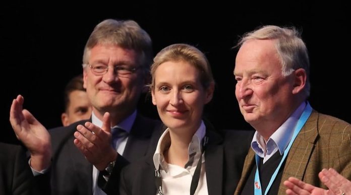 Die AfD legt derzeit als einzige Partei zu (v.l.n.r.): Jörg Meuthen, Alice Weidel und Alexander Gauland.