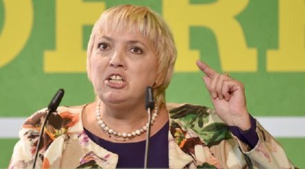 Claudia Roth hetzte am 30.9.2017 in Berlin beim Länderrat (Kleiner Parteitag der Grünen) gegen die AfD.
